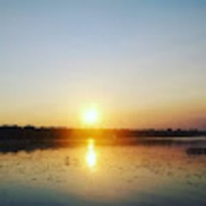 Meet your Posher, Kenny